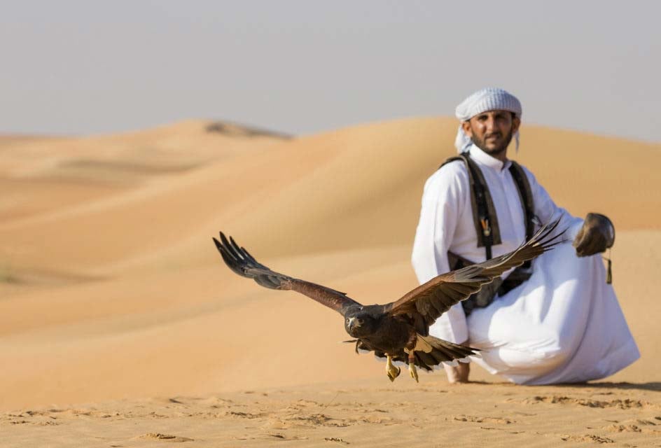 9.	Finding Out About Desert Falconry