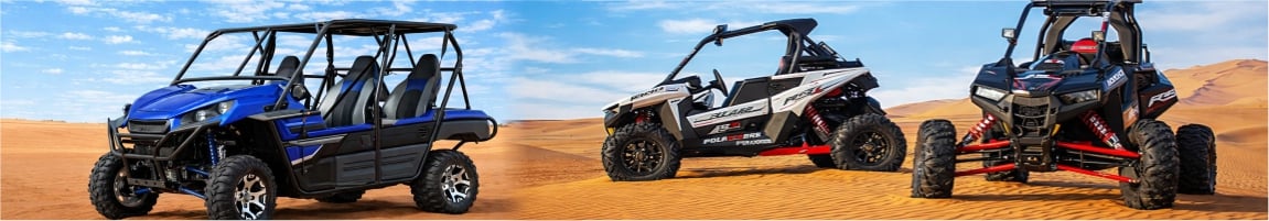 VIP Desert Safari Dubai Highlights Overview overview image