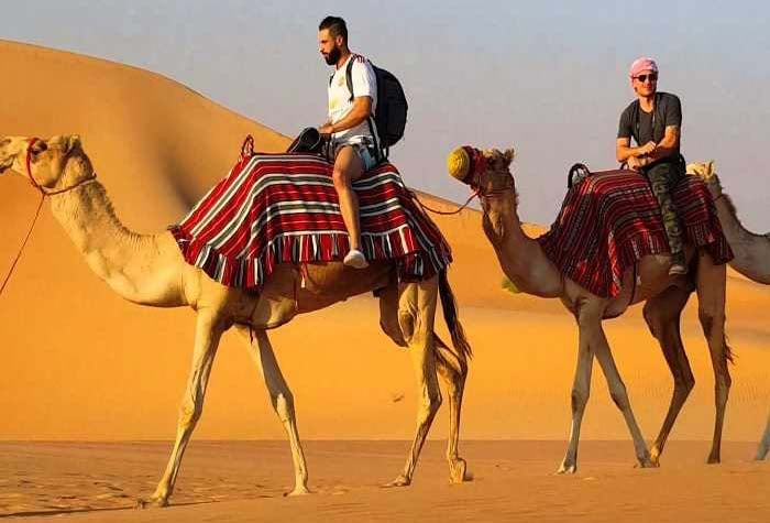 Fantastic Camel Ride At Dubai
