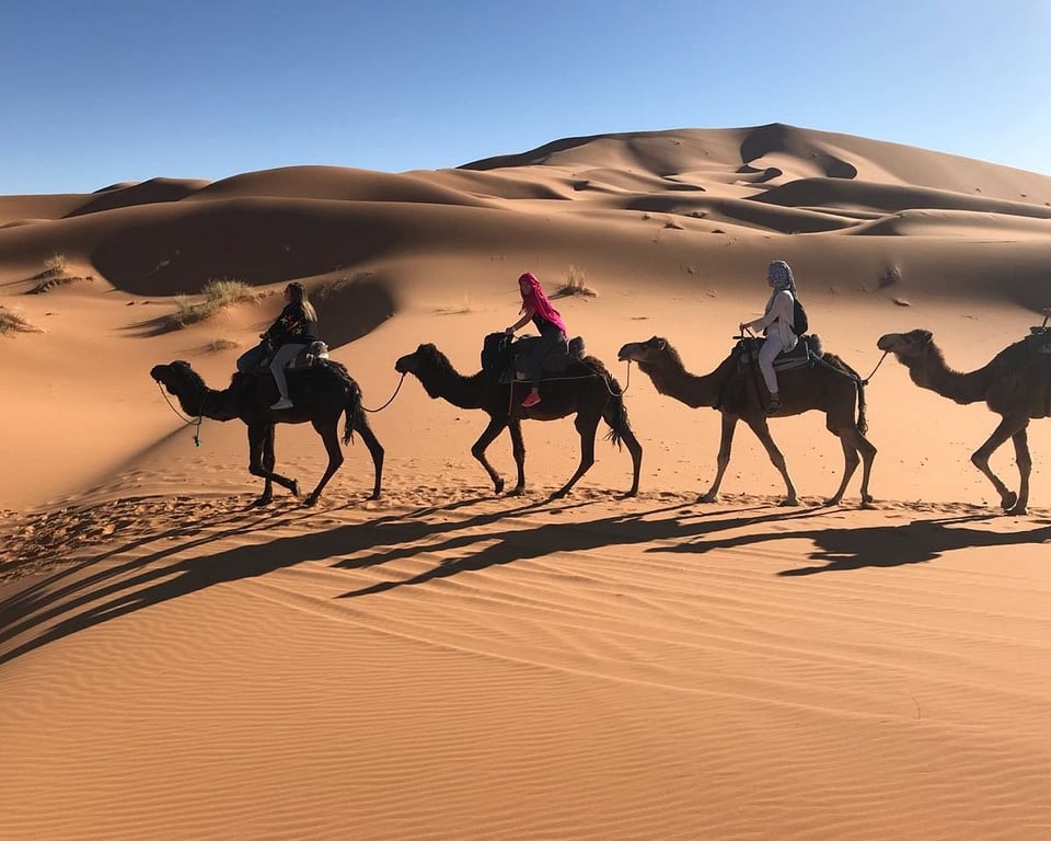 Inconceivable Camel Excursion