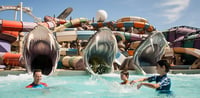 Dubai Travel And Tours