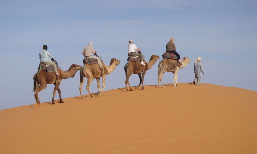 Amazing Al Dhabi Pony And Camel Rental