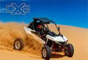 1 Seater Polaris RZR RS1 Buggy 2 Hour