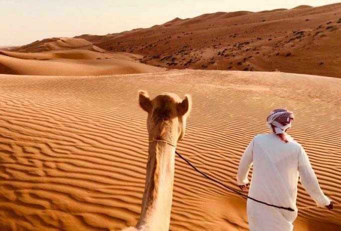 Amaze Camel Riding In Dubai Desert 2023