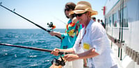 Dubai Travel And Tours