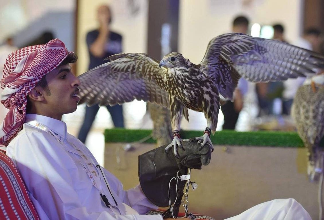 Visitors With Falcons