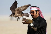 Photo with Falcon