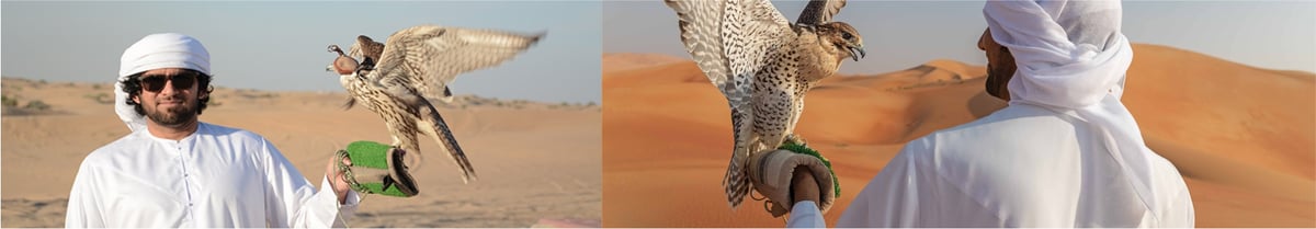 Red Dunes Desert Safari Dubai Facilities Overview overview image