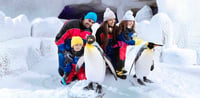 Dubai Travel And Tours