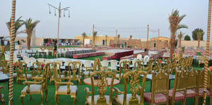 Standard Camp