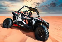 Dune Buggy Rental
