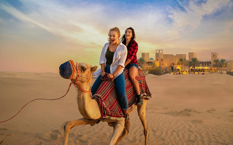 What Is Family Desert Safari Dubai 2023 ?