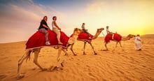4-Hours Private Safari