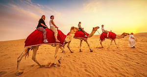 4-Hours Private Safari