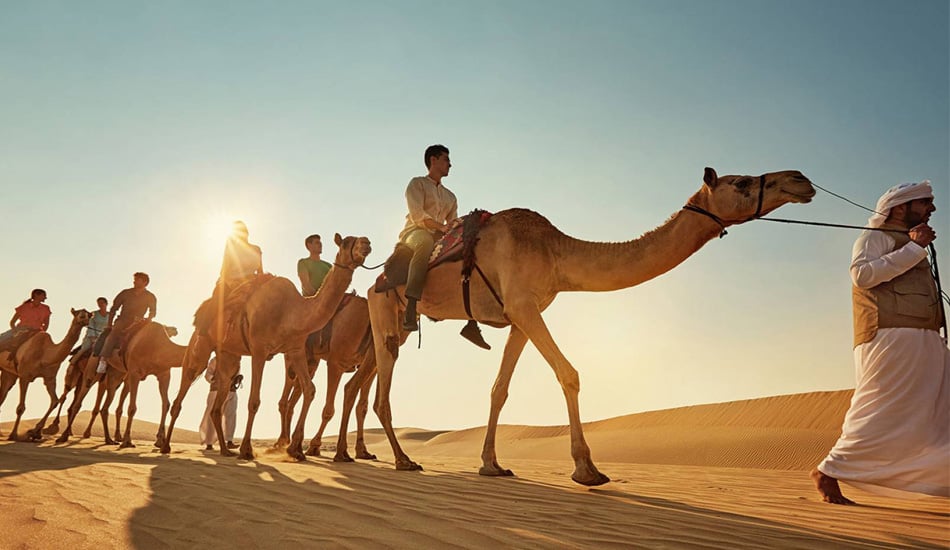 Morning Deals With Camel Trekking
