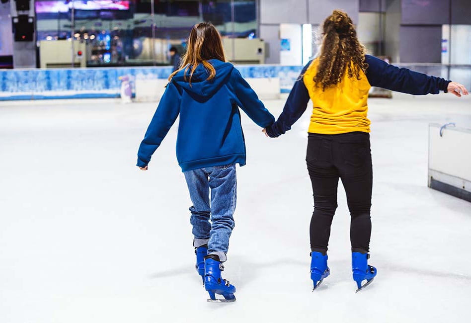 vii.	Olympic Size Skating Rink
