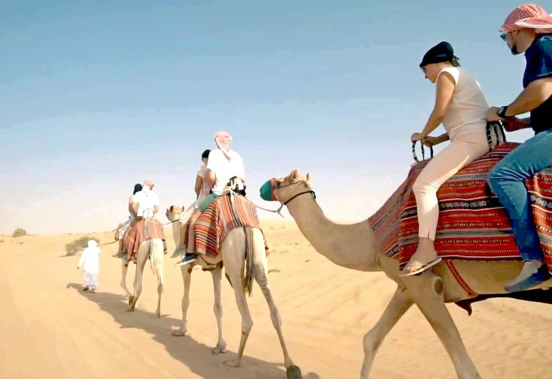 ii.	Camel Rides