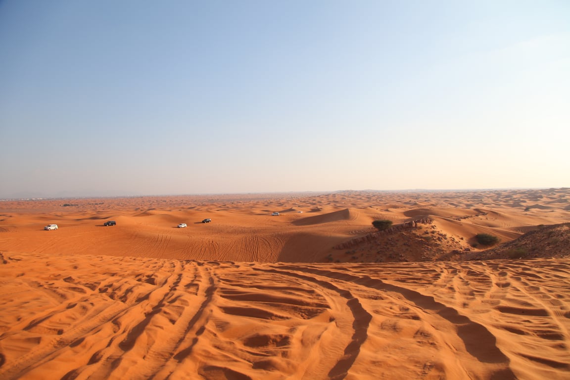 Types Of Red Dune Desert Safari