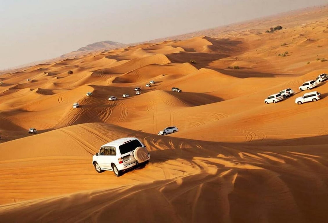 What You Should Know About the Morning Desert Safari in Dubai