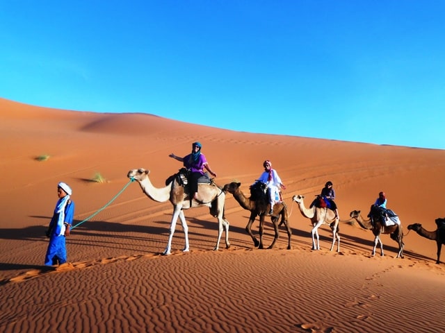 Camel Ride Take Phenomenal Lift In The Desert