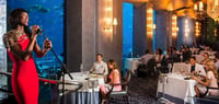 Dubai Travel And Tours