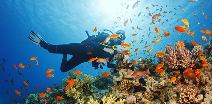 Dubai Travel And Tours