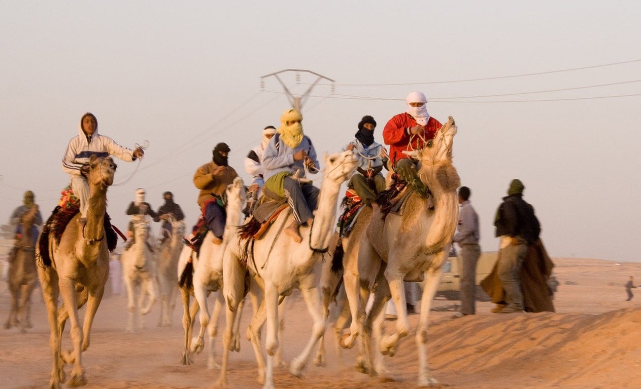 Camel Races In The Festival In UAE