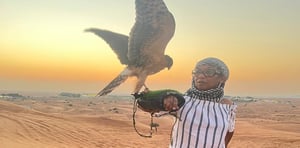 Sunrise Desert Safari with Quad Biking, Sand Boarding & Photo with Falcon