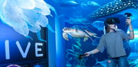 Dubai Travel And Tours