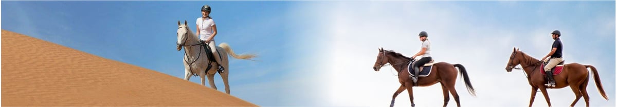 VIP Desert Safari Dubai Facilities Overview