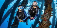 Dubai Travel And Tours
