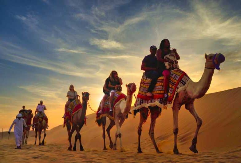 Incredible Camel Ride In Dubai
