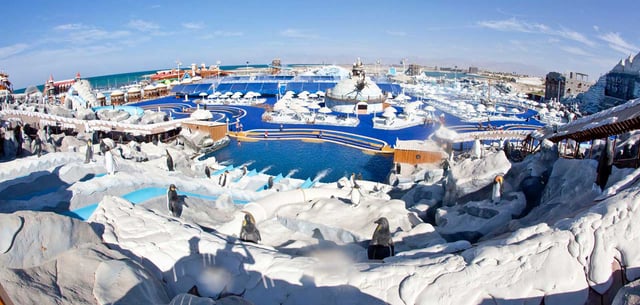 Sea Plane Tour Standard 40 Minutes Flight