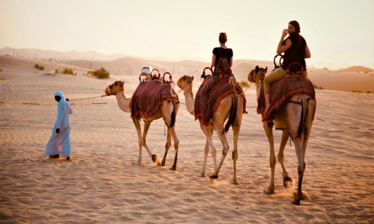Most Exciting Visit Of Desert Safari Dubai