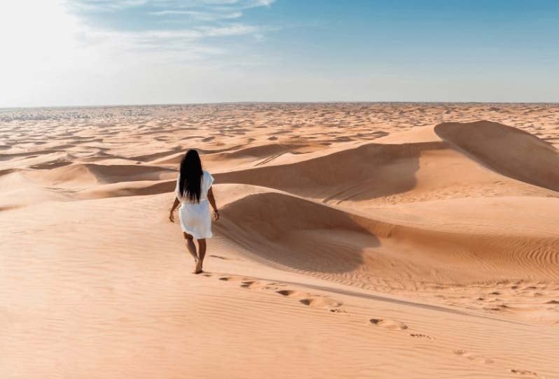 Early In The Day Or Late At Night Are The Ideal Times To Go A Safari In The Dubai Desert