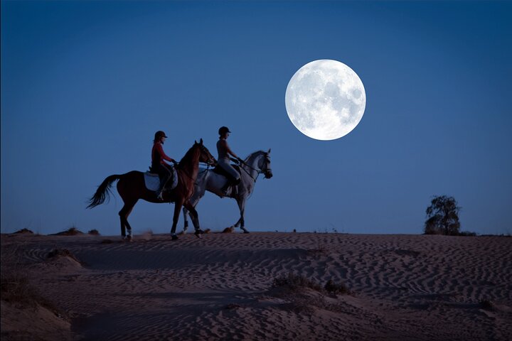 Horse Riding Under The Fullmoon