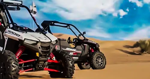 Polaris RS1 2 Seater