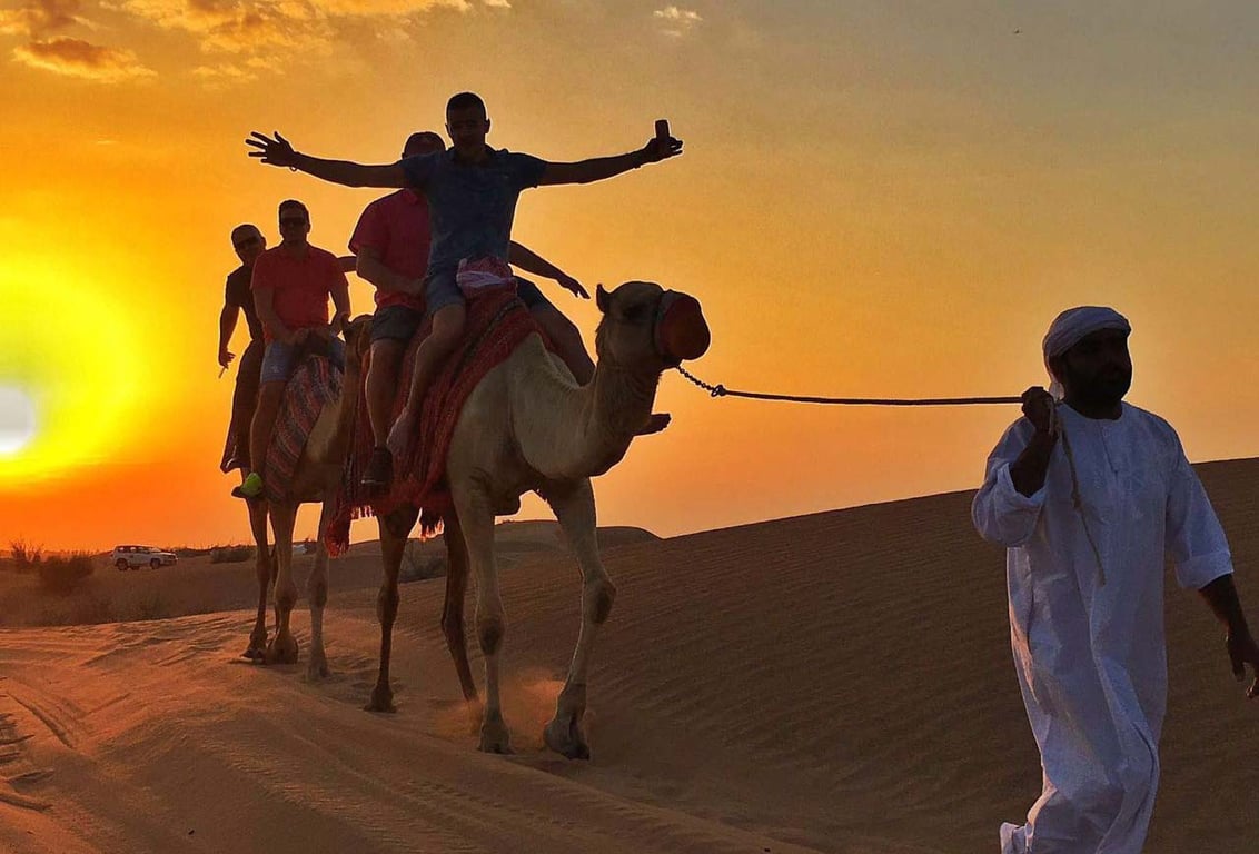 How Do I Reserve A Camel Ride For A Dubai Desert Safari?