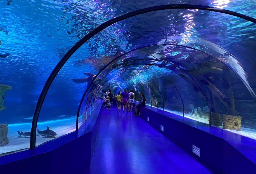 Stunning Aquarium Tunnel