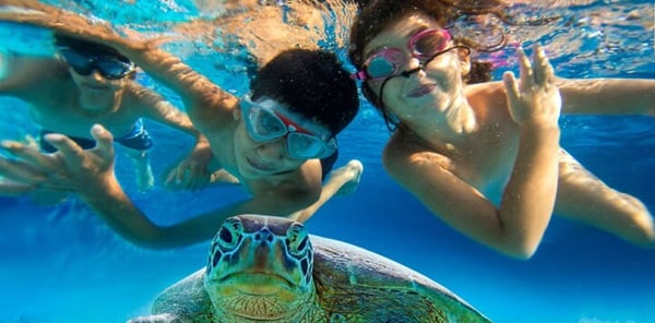 Red Dunes Desert Safari Quad Biking Camel Riding Sand Boarding Live BBQ