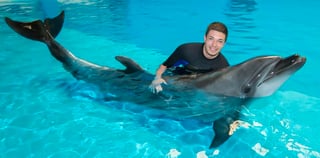 Pool And BBQ Only On Fridays