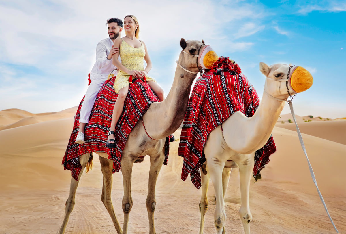 VIP Desert Safari Dubai Highlights Overview overview image