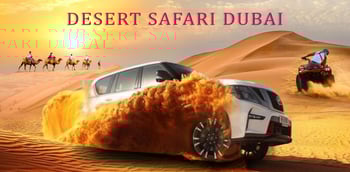 sunrise desert safari