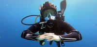 Dubai Travel And Tours