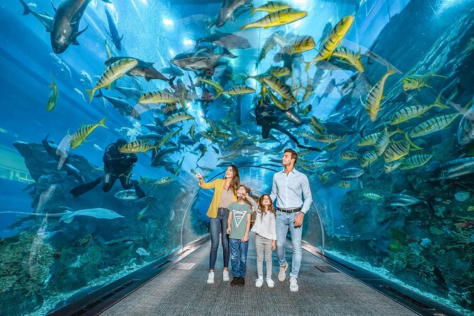 4.	Dubai Aquarium And Underwater Zoo