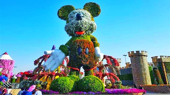 Gorgeous Mickey Mouse At Miracle Garden
