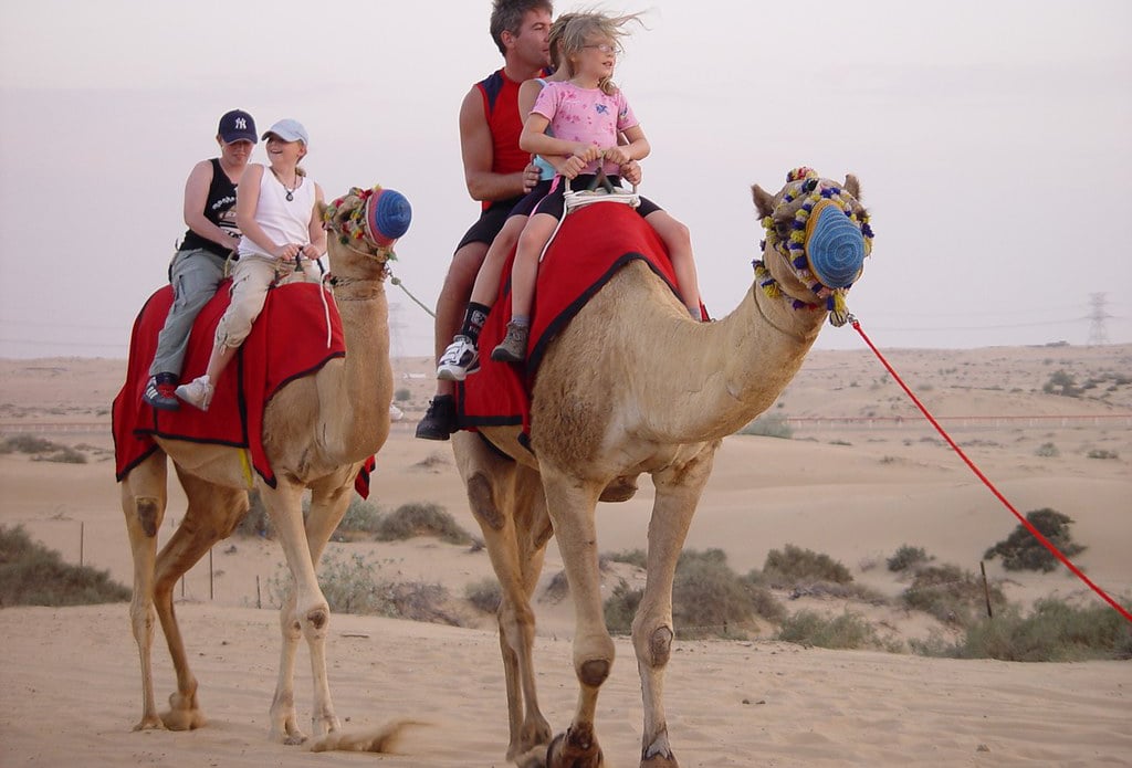 Types Of Camel Riding Tours In Red Dunes