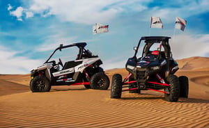 Polaris Rzr R Begie 1 Seater