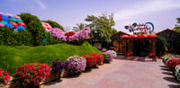 Dubai Travel And Tours