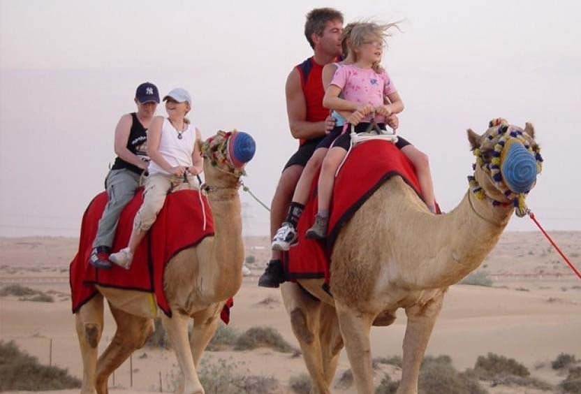 Camel Riding Will Be An Awesome Activity